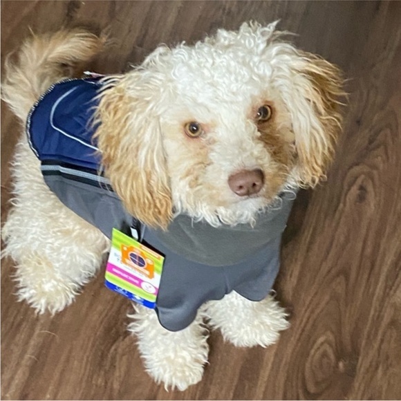 Top Paw Bonded Fleece Turtleneck Blue & Gray S - Picture 5 of 12